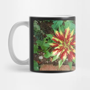 Amaranthus Tricolor Mug